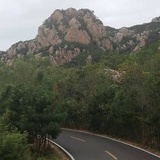 文东篱