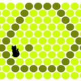 123