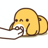 黄蛋蛋⊙_⊙