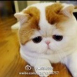 啊发