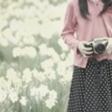 思南夏尽花笑风
