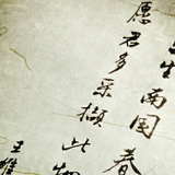 秦卿