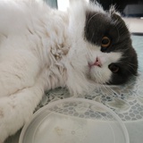 独自灿烂