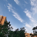 苟且与田野