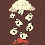 小南瓜