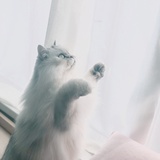 我是墨墨