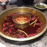 选秀杀手