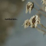阿荒