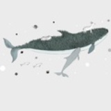 ソメイヨシノ