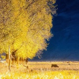 HerreChen