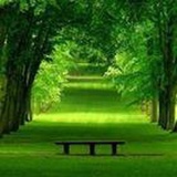 没看头没嚼头
