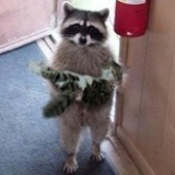 见钱眼开