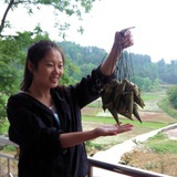 陈