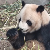 宁缺丶毋滥~】