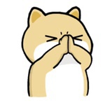 狗蛋