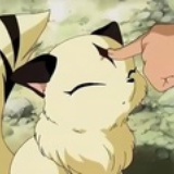 kittencarol