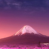尘埃里的双生花