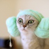 MAOCAT