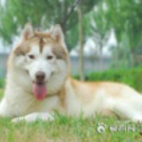 六璇