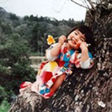 森林里的风