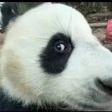 容么么哒