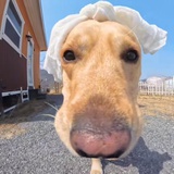夏天过后