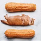 阳三木