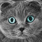 cpnine9