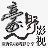 豪野影视