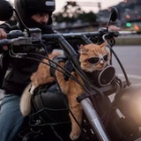 Run