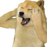 ★★★★★