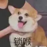 庸碌