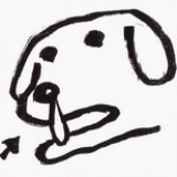张金花b
