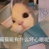 已注销
