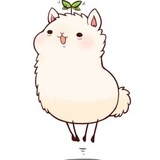 豆杀乌龙小肉包