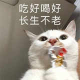 扬爱财冲鸭