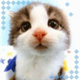 伍伍