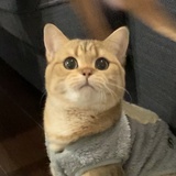 ELLLLL