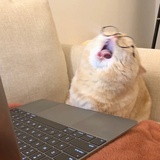 梨