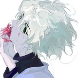 killuvelvet