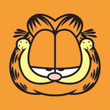 羽濯
