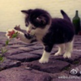 梦羽&君君