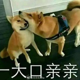 拾小梯