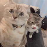 管理員