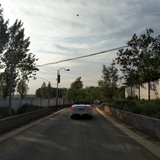 悠游
