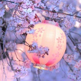皓月三千里