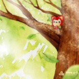 南方高速