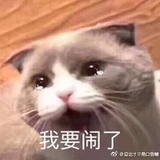 你家煎饼哥哥
