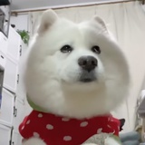 Julchen