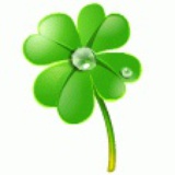 Clover